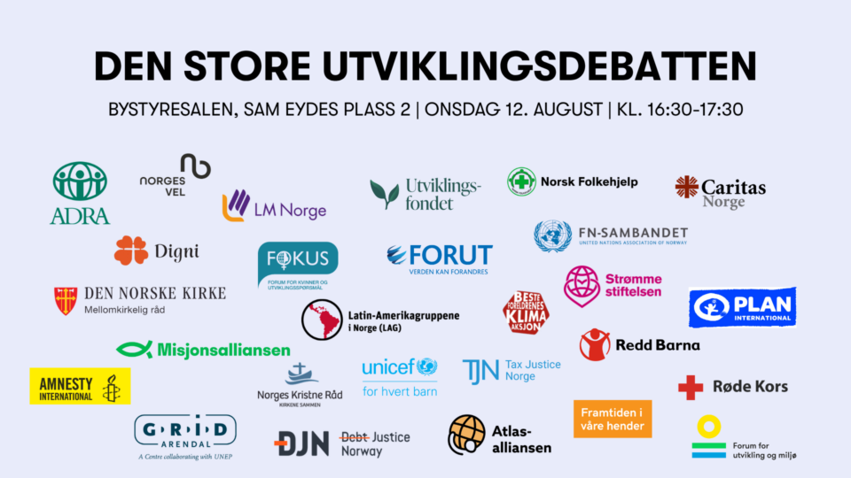Den store utviklingsdebatten