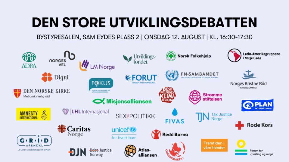 Den store utviklingsdebatten