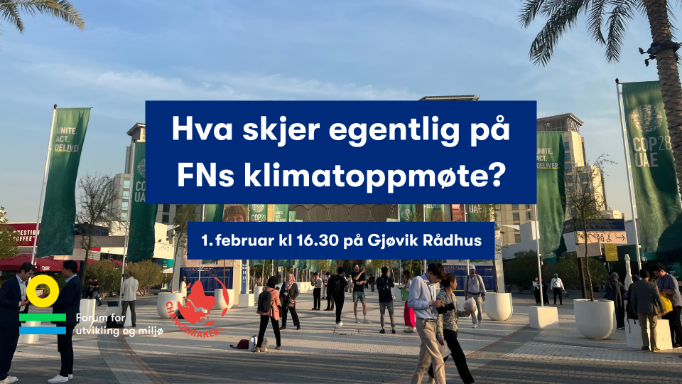 Hva skjer egentlig på FNs klimatoppmøte?