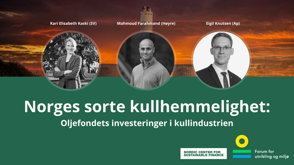 NORGES SORTE KULLHEMMELIGHET - OLJEFONDETS INVESTERINGER I KULLINDUSTRIEN