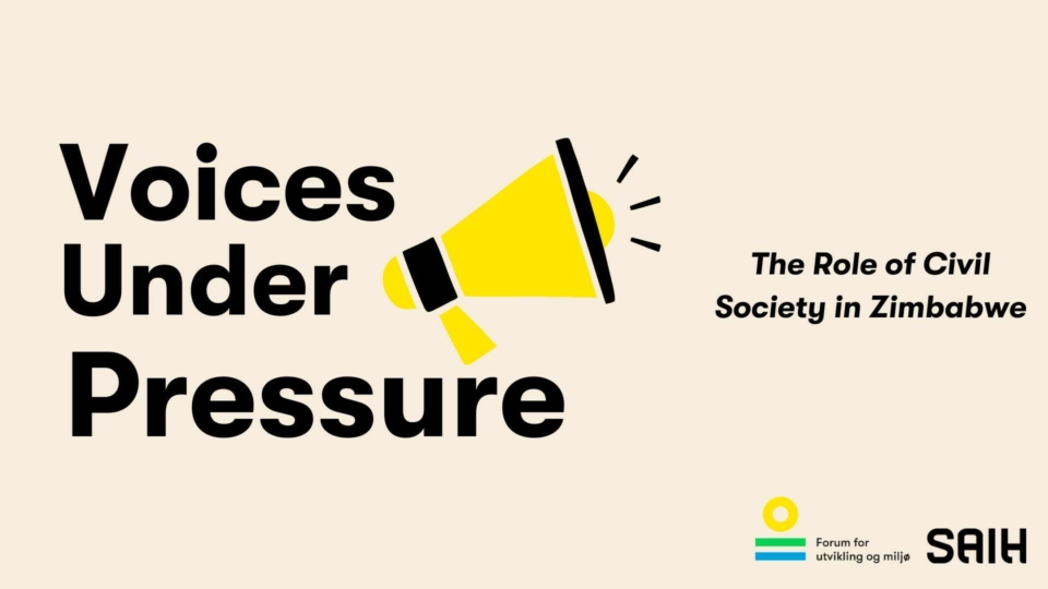 Voices Under Pressure: The Role of Civil Society in Zimbabwe