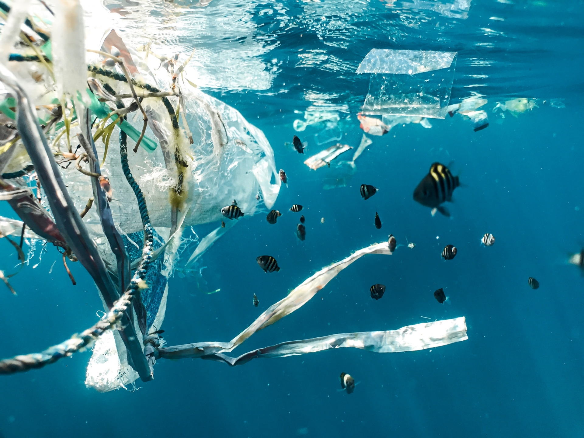 A global solution to plastic pollution?