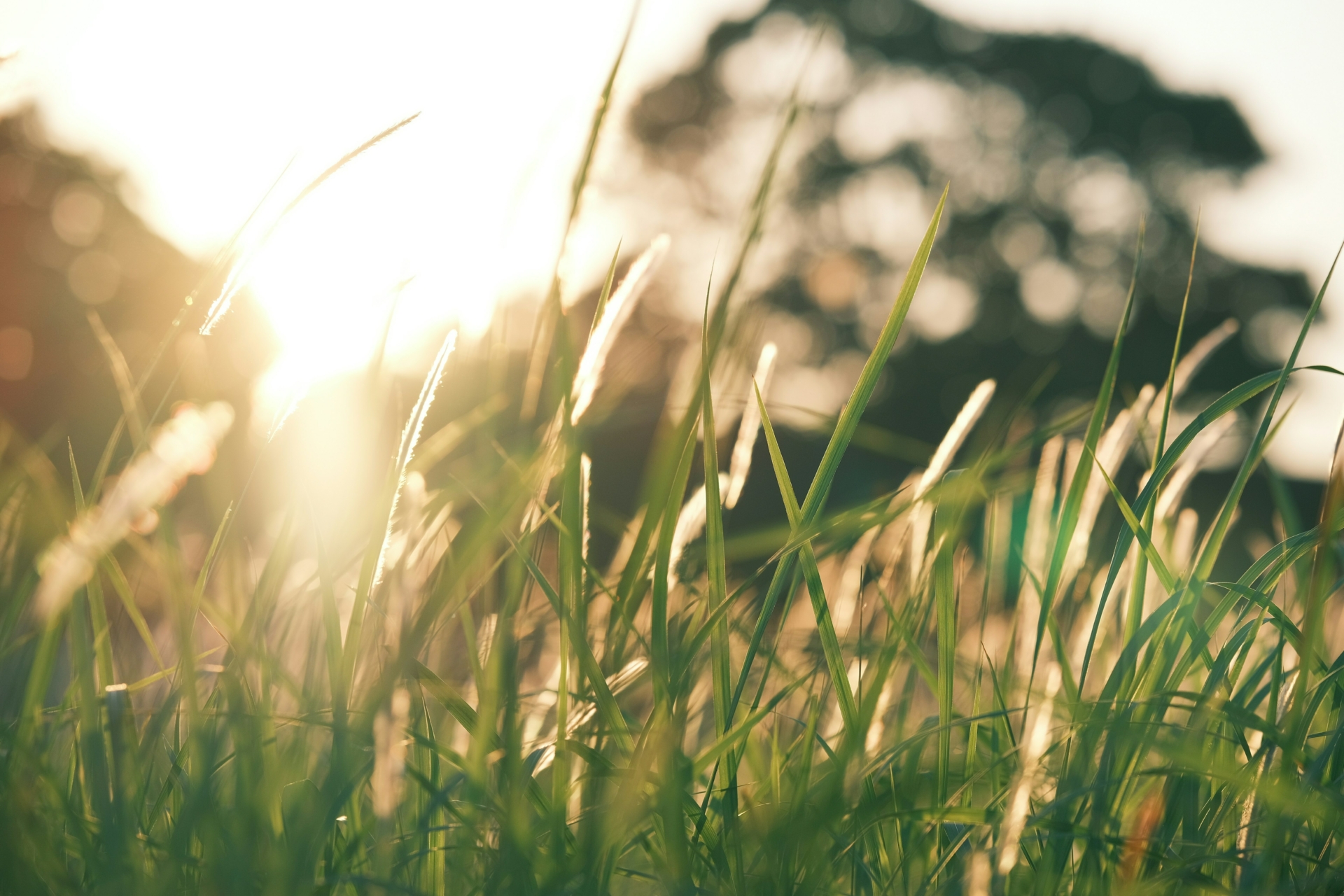 Ti lysglimt fra året som gikk