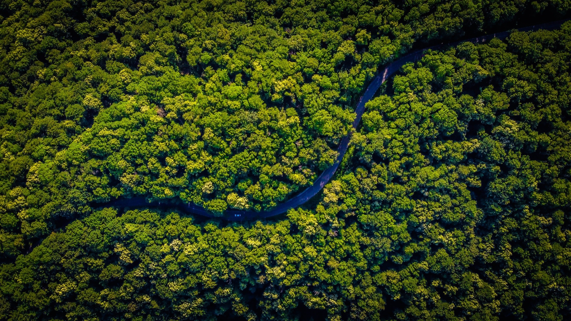 På vei mot en ny global naturavtale