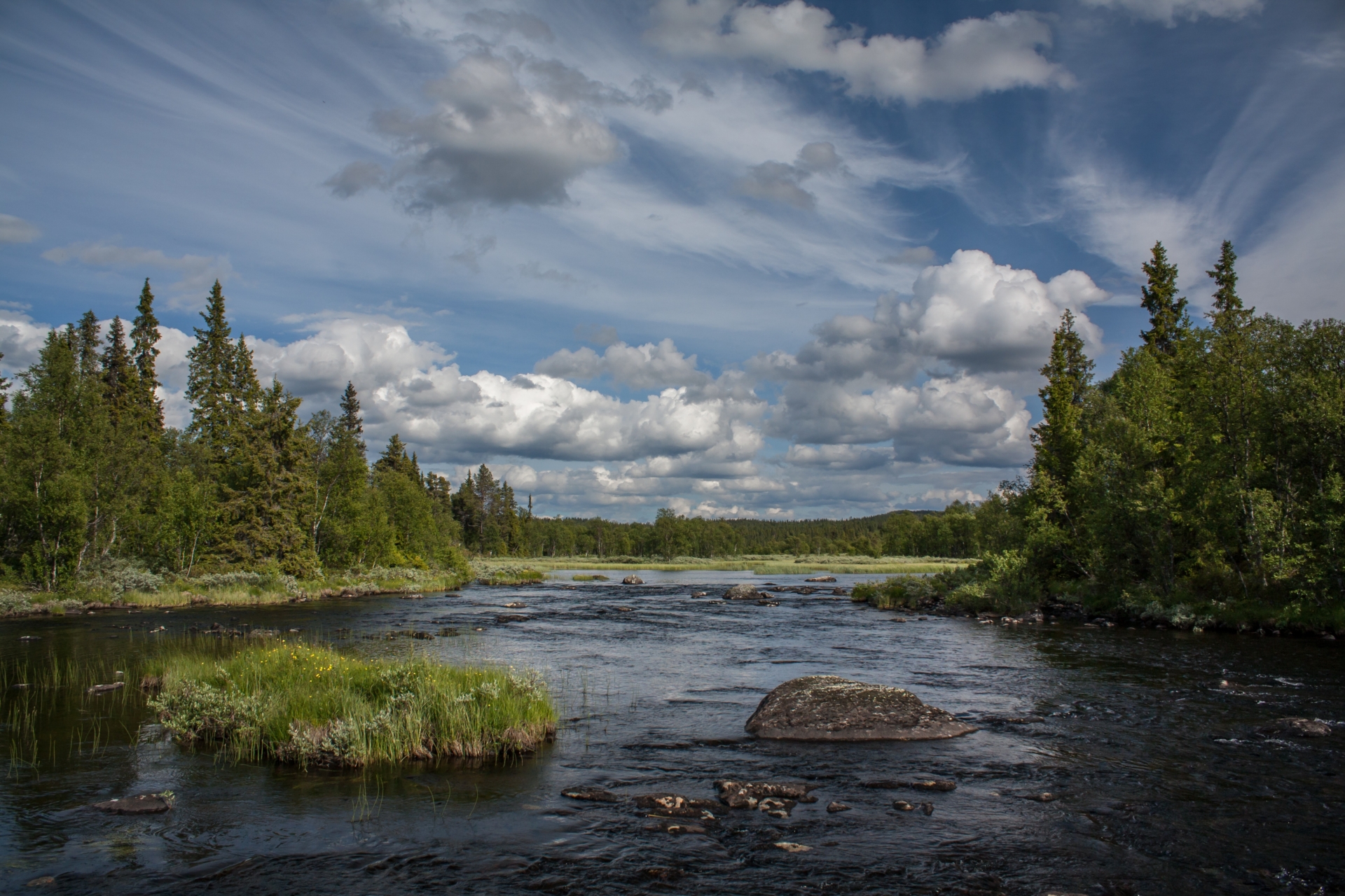 — Norge har sviktet naturen