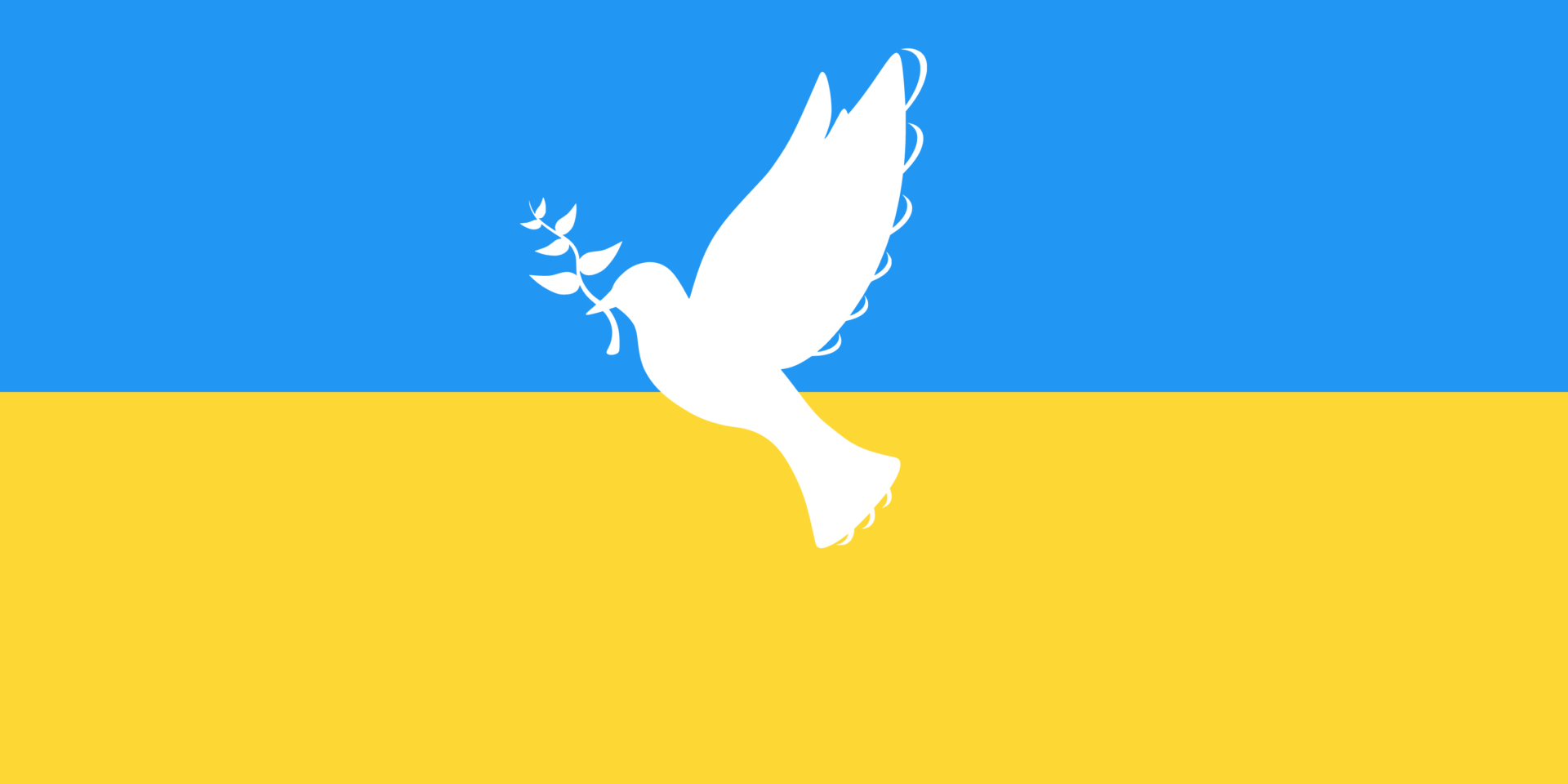 Ukraina: Hva gjør ForUMs medlemmer?