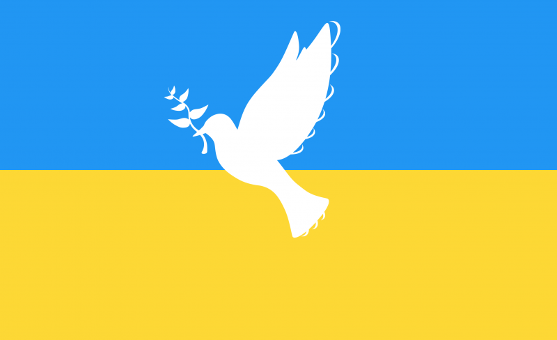 Ukraina: Hva gjør ForUMs medlemmer?