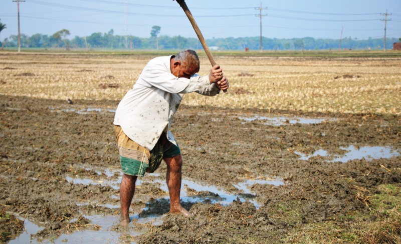 Need for action following the UN Food Systems Summit