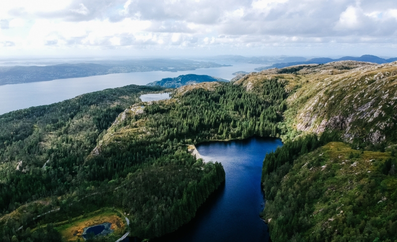 Uten naturmangfold har vi ingenting
