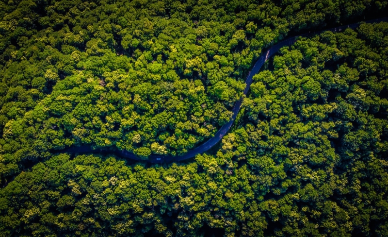 På vei mot en ny global naturavtale