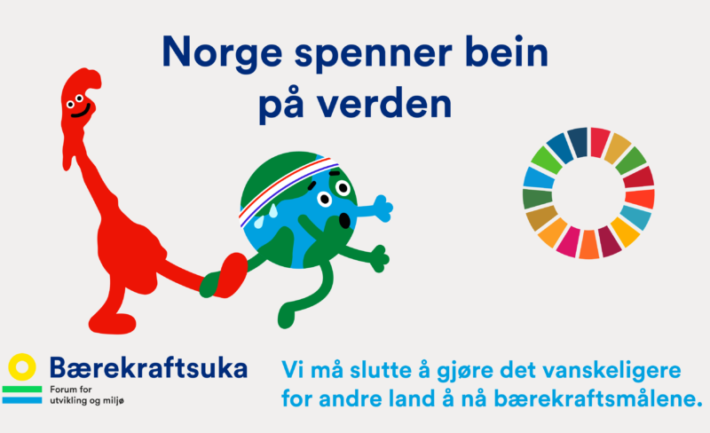 Bærekraftsuka 2021: Norges svin på skogen