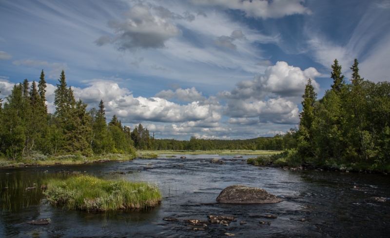 — Norge har sviktet naturen