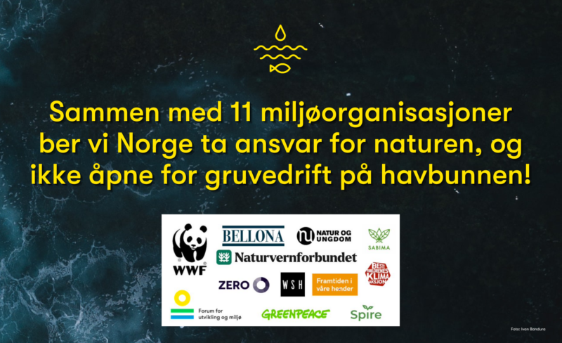 Miljøorganisasjoner ut mot regjeringens mineralforslag: – Strider mot all fornuft