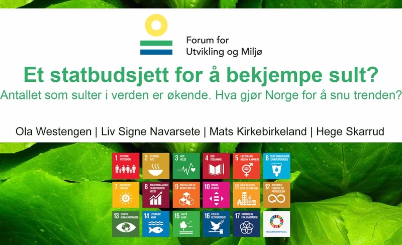 Matbudsjett med handlingsrom?