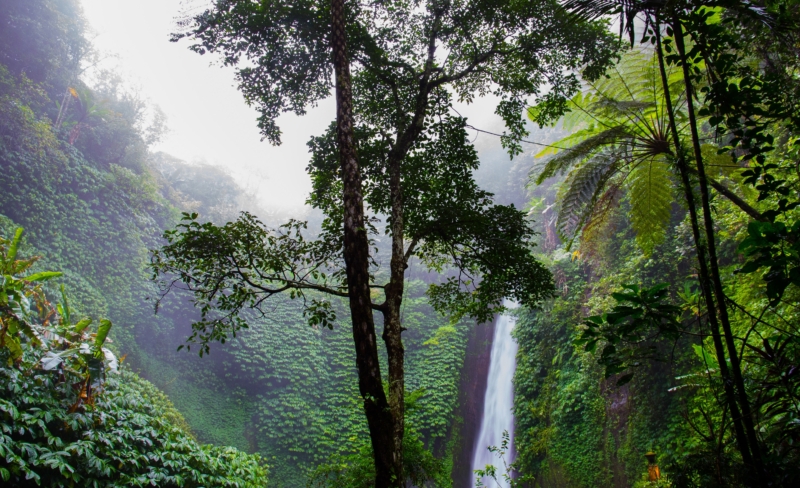 Møtes i Nairobi for å stanse naturkrisen