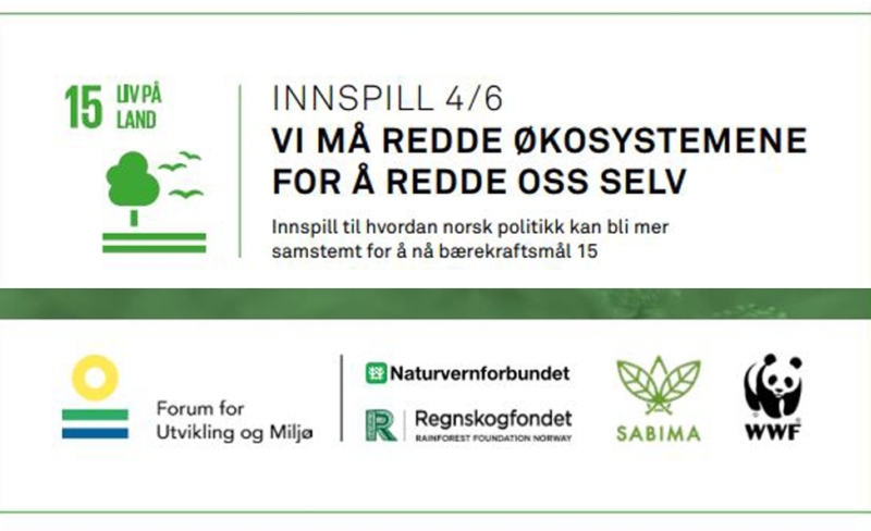 Innspill 4/6: Vi må redde økosystemene for å redde oss selv