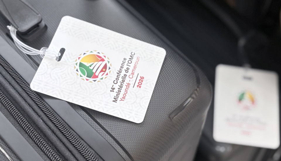 Reform eller maktkonsentrasjon? Bekymringsbrev fra WTOs ministermøte