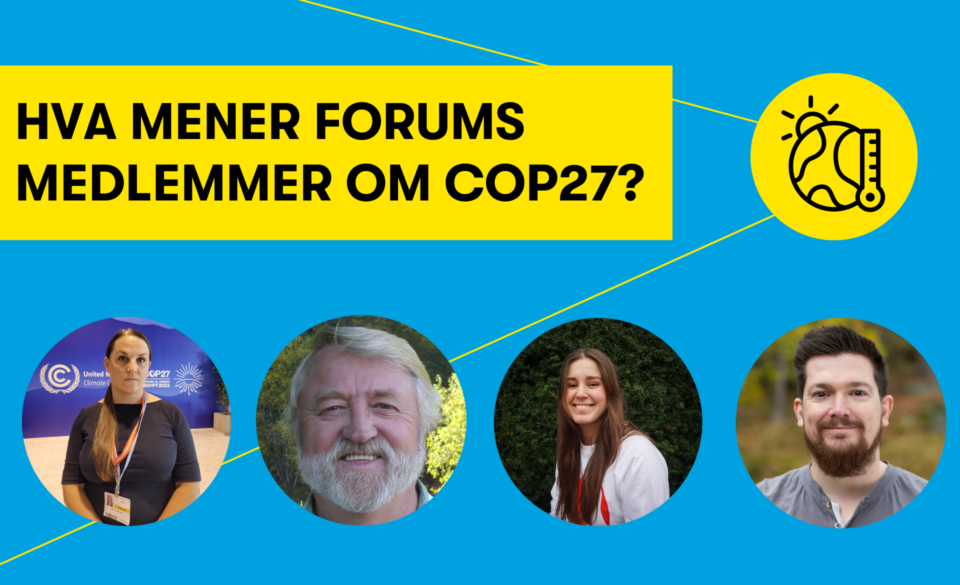 ForUMs medlemmer om COP27