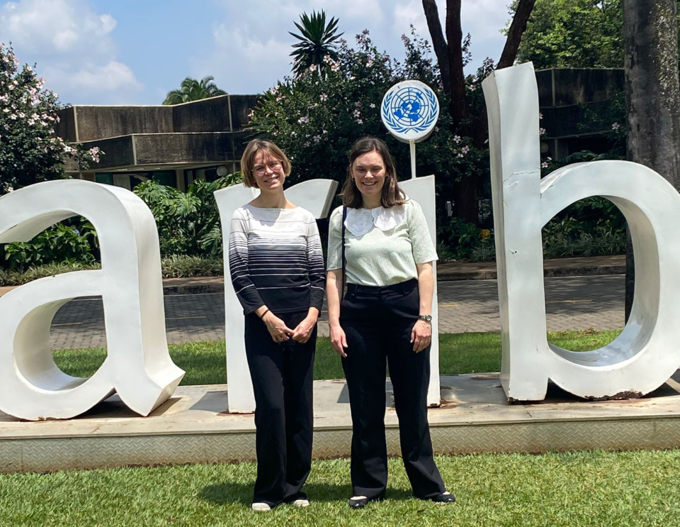 Skatteforhandlinger i Nairobi