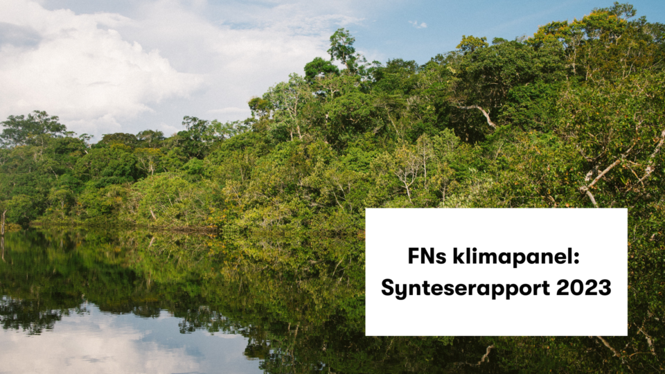 ​Siste synteserapport fra FNs klimapanel med klar beskjed til verdens ledere