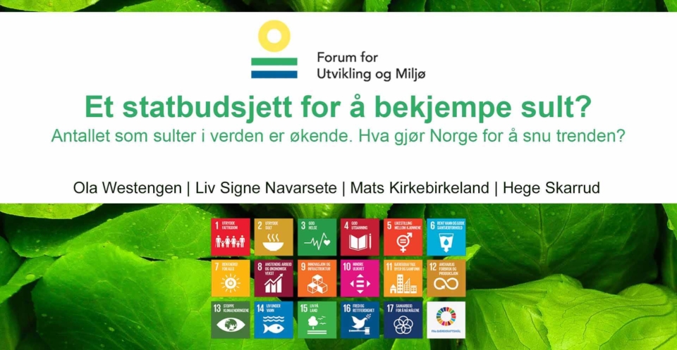 Matbudsjett med handlingsrom?