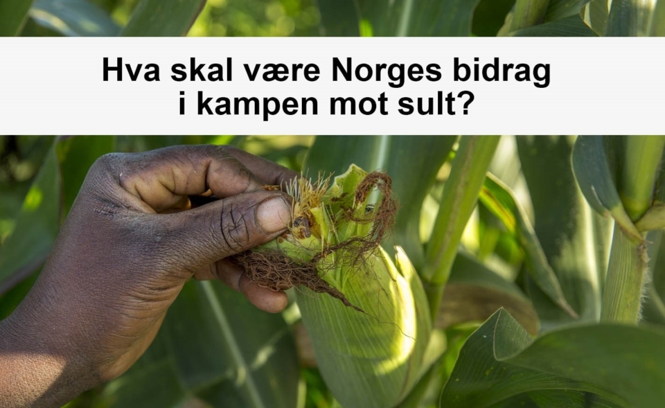 Hva skal være Norges bidrag i kampen mot sult?