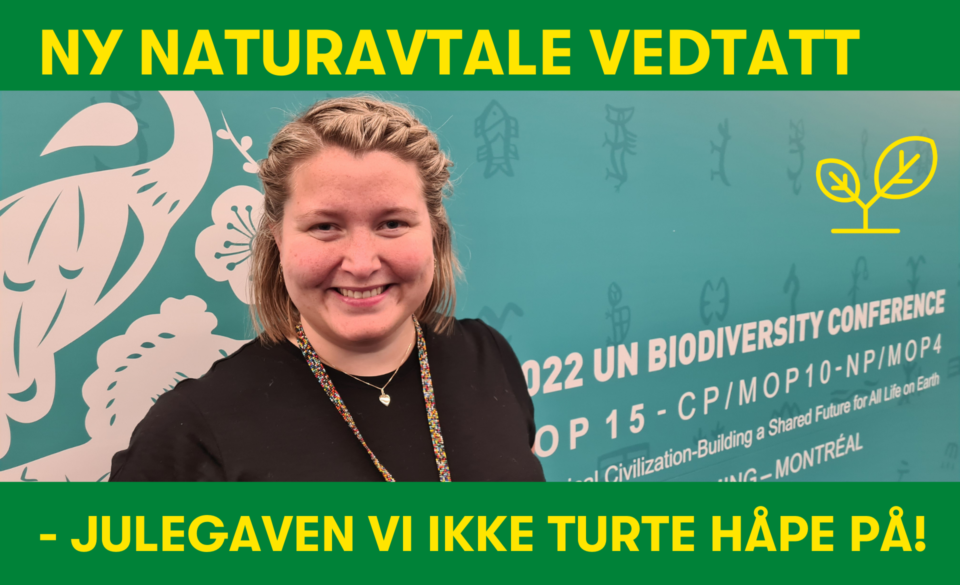 Ny naturavtale vedtatt i morges: Naturen fikk endelig sitt Parisøyeblikk, sier Forum for utvikling og miljø