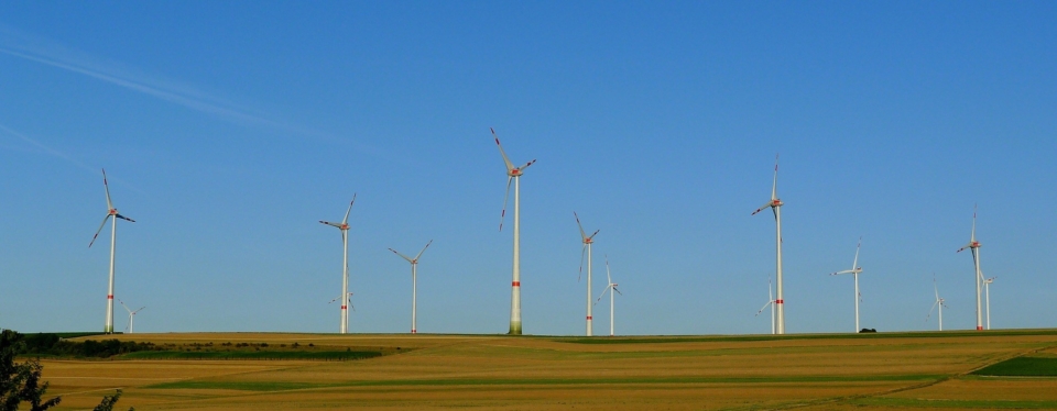 Krever at oljefondet investerer i fornybar energi