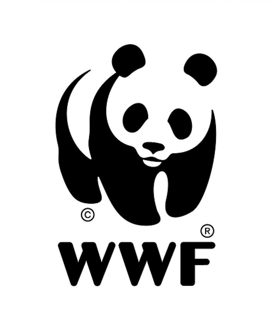 Are you the next Global Plastics Policy Lead in WWF?