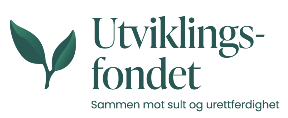 Økonomirådgiver