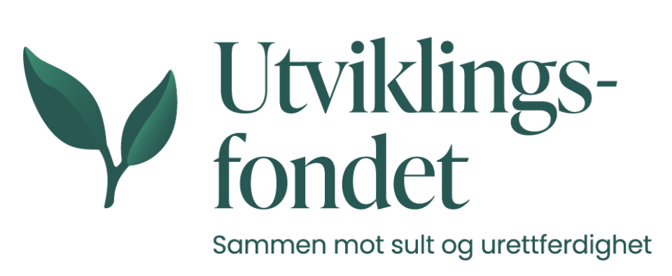 Utviklingsfondet søker en engasjert og analytisk markedsrådgiver